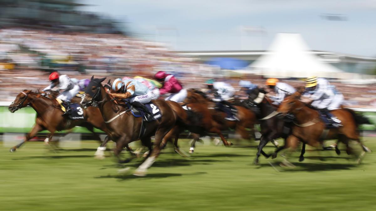 Horses at Epsom